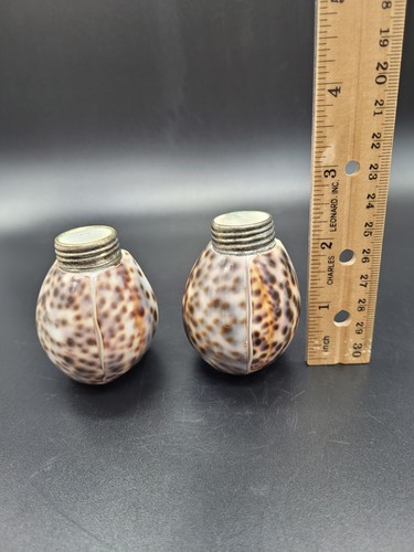 Vintage Genuine Tiger Cowrie Shell Salt & Pepper Shakers - Picture 5 of 6