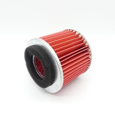 Luftfilter für Yamaha YP 125 Majesty Maxster Teos Cygnus CX 125 F