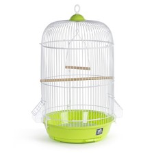 Round Bird Cage W/ Cups Swing Wood Perch Pull Out Tray Hanging Parakeet Green US