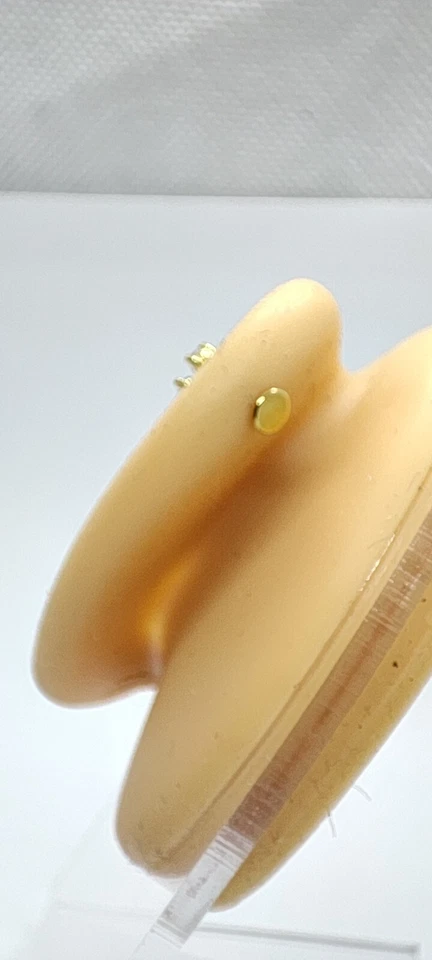 Piercing da orecchio in acciaio al trago per elix con zirconi argento o oro - Immagine 4 di 4