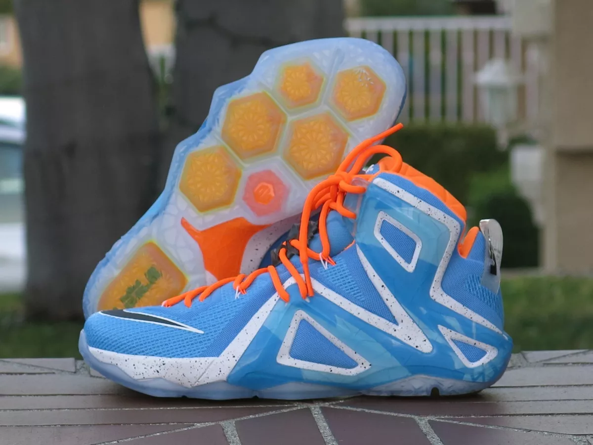 Lebron hotsell 12 elite