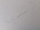 Bild 12 von 24
