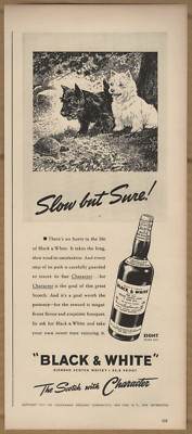 1940 Black & White Scotch Whiskey Vintage Print Ad Scottish Terriers Dogs Turtle