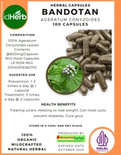 FRESH CAPSULE Ageratum Conyzoides Bandotan HERBAL PREMIUM ORGANIC