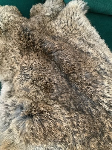 Schulterfell Mittelalter Wikinger Damen Kaninchen Echtfell mit Metallschließe - Bild 5 von 5