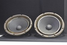 2x BOSE 10" WOOFER 113899 da 501 altoparlanti OEM, mai stati refoam Sku216091