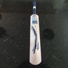 Image of Slazenger V Classic Cricket Bat Mens Short Handle