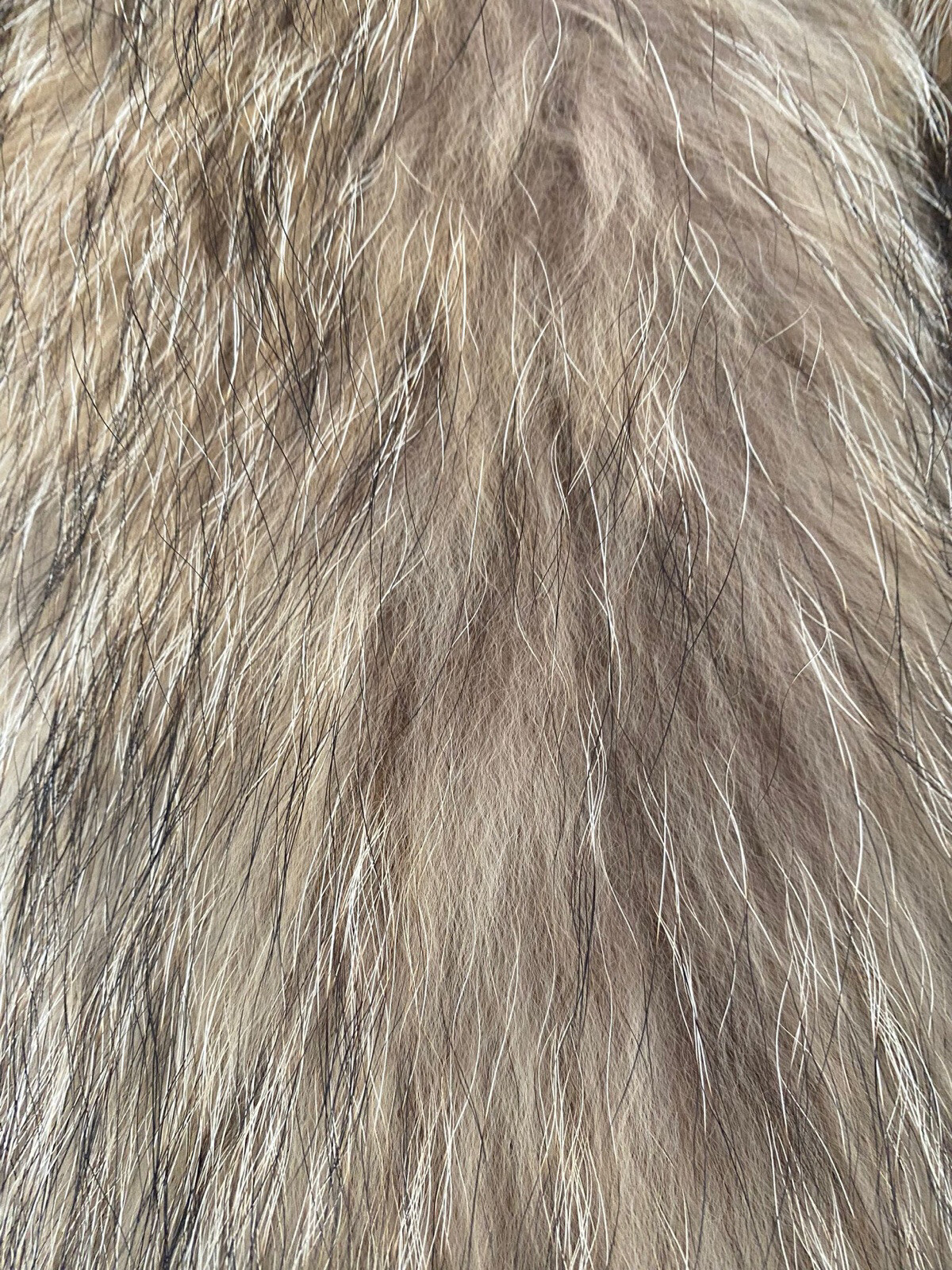 Bild 5 von 8
