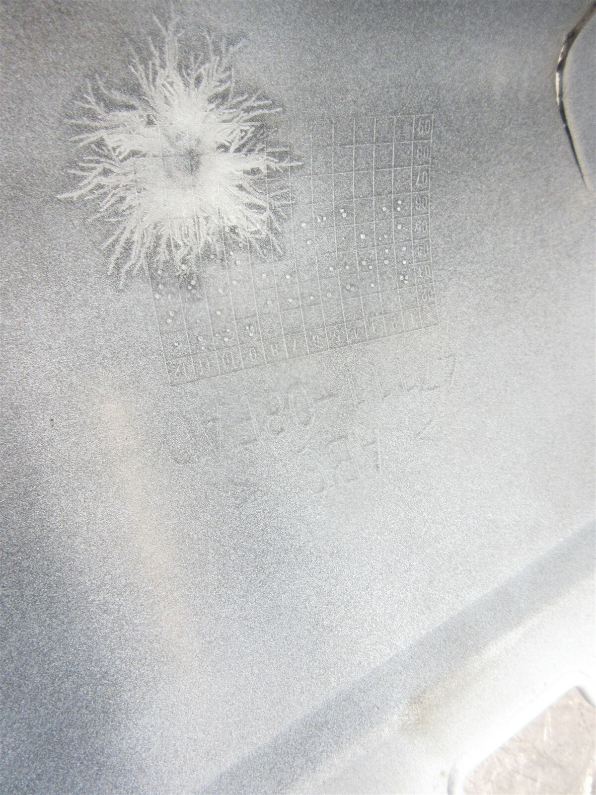 Picture 7 of 12