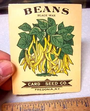 Vintage EMPTY seed pack, early 1900s Black Wax Beans, Card Seed co Fredonia NY
