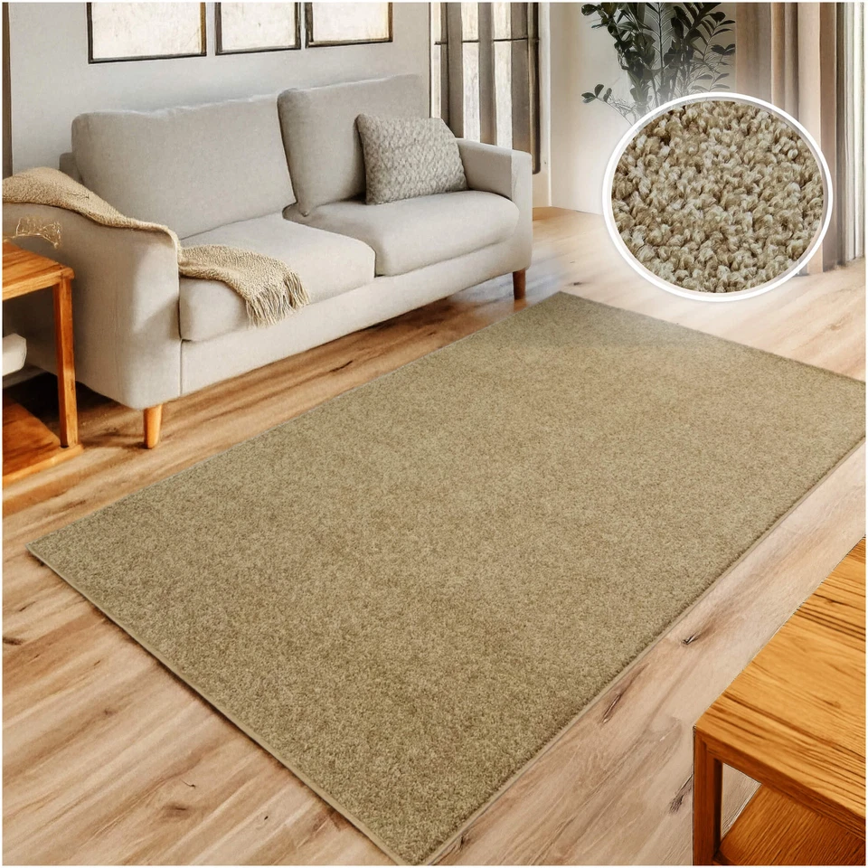 Alfombra de friso suave y acogedora Koeckritz - 9' x 12', beige arena, 5/8" de grosor Foto 3 de 4