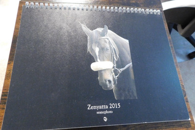 ZENYATTA THE DANCING QUEEN RACE HORSE 2015 FULL COLOR PICTURE CALENDAR