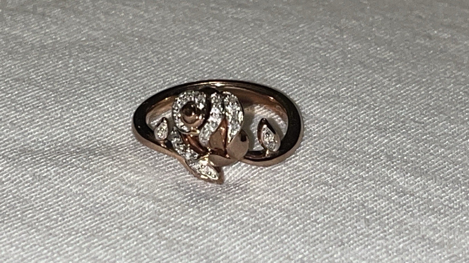 Picture 3 of 13
