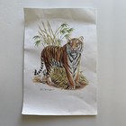 Bengal Tiger Illustrated Animal Library Mammals Group 1 Card 51 Art Print Vtg