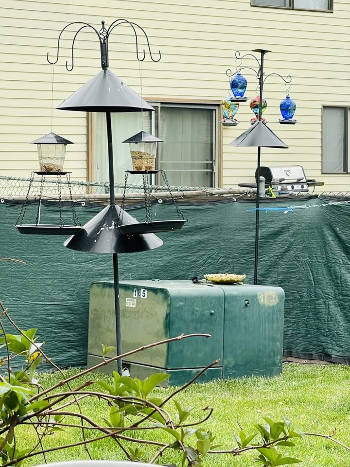 93“ Bird Feeder Pole with Squirrel Proof Baffle & 4 Shepherds Hooks