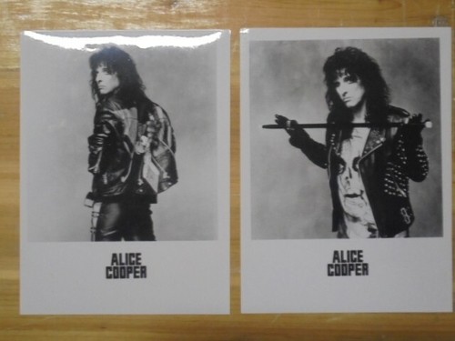 Nr.2 Werbefoto 18x24 Alice Cooper Top Zustand