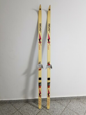 Skier Tecno Pro Tour Länge: ca.166cm