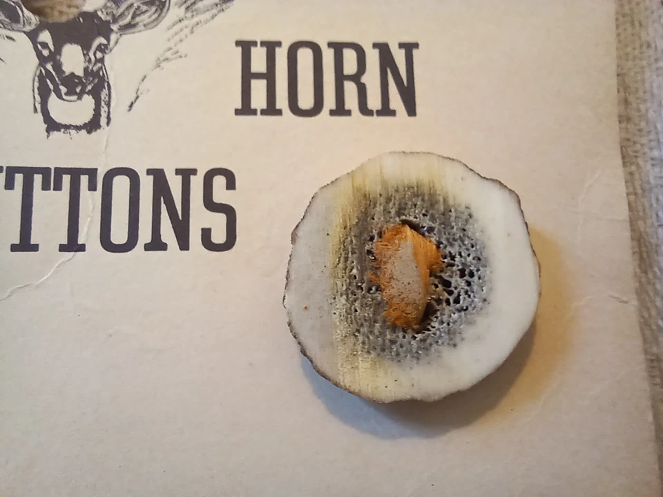 4 Vintage Deer Horn 2 Hole Buttons New on Card 7/8" Across Handmade - Image 4 of 4