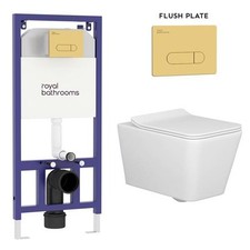 Elena Wall Hung Toilet Rimless Soft Seat Dual Cistern Frame WC Brass Flush Plate