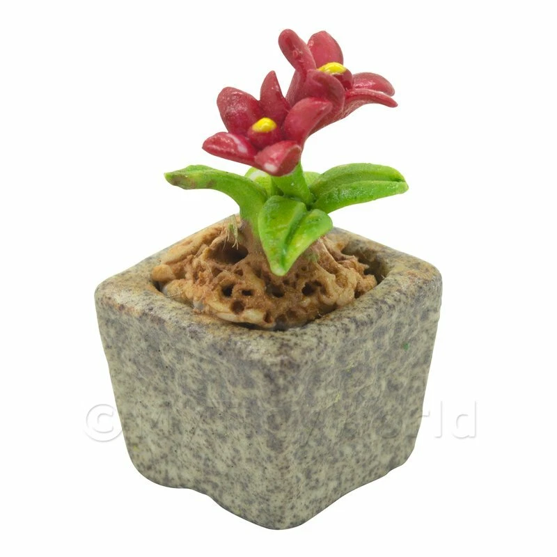 Miniature Fait Main Couleur Rouge Céramique Fleur - Photo 1/1