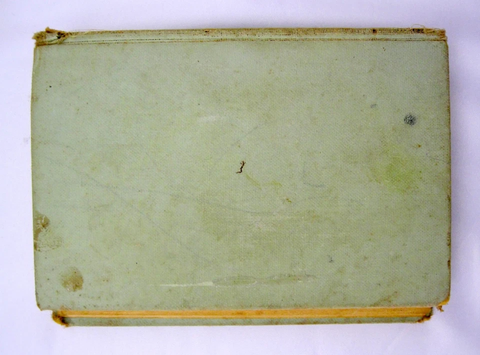 Libro "Il Milione nascosto" DELLY ed. Salani - Immagine 4 di 4