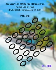 47-0438-07-R  Cast Iron Pump Lid O-ring (3PJMCH25) Fits Pooltek USA 25-PACK