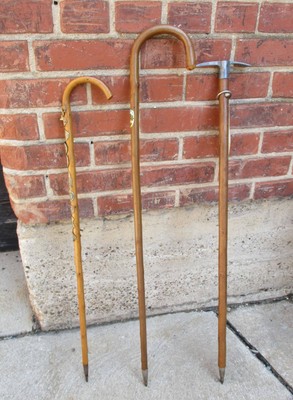 Group Of Three 3 Antique Canes Walking Sticks Stocknagel Badges 14 15 16 Ebay Antique Canes Walking Sticks