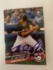 Cam Gibson 2018 Signed Connecticut Tigers Team Card