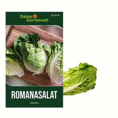 Romanasalat Xanadu Samen - Lactuca sativa - Romanasalatsamen - Gemüsesamen