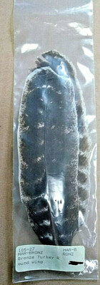 Natural Barred Wild Turkey Rounds Secondary Wing Quill Feathers