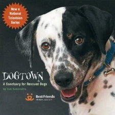 Dogtown: A Sanctuary for Rescued Dogs - Hardcover By Bob Somerville - GOOD