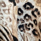 Bild 6 von 6