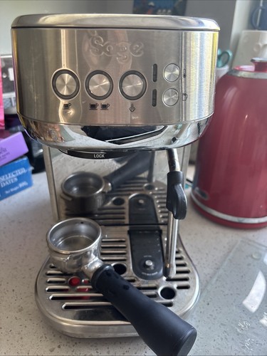 Sage The Bambino Plus Espresso Coffee Machine - Brushed Stainless Steel