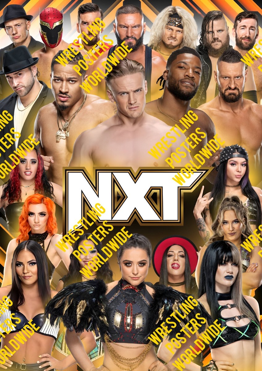 Poster Del Roster Wwe 2024