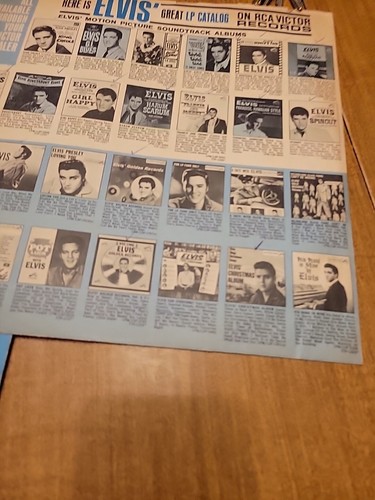 ELVIS PRESLEY - DOUBLE TROUBLE LP LPM-3787 (USA 1967 ORIGINAL) -NO PHOTO - 第 11/13 張圖片