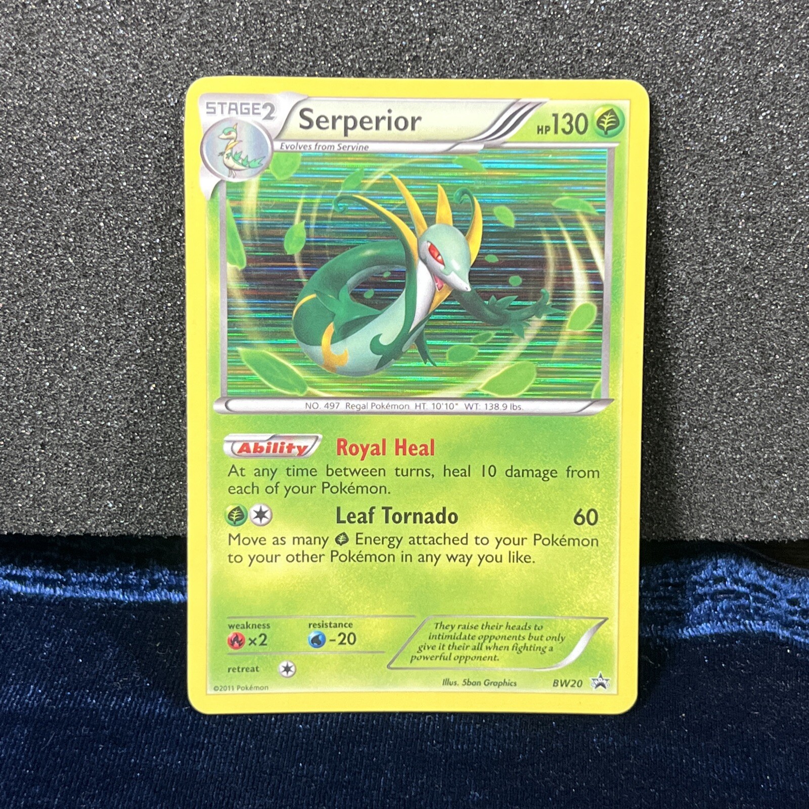 Serperior BW20 Holo Rare Black & White Black Star Promo Pokemon Card