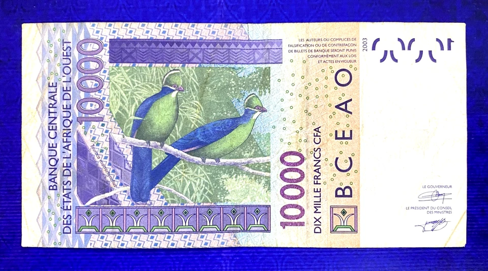 2003 WEST AFRICAN STATES (IVORY COAST) - 10000 FRANCS - VF+ - EZSU4 - Image 2 of 2