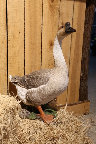 Lawn Goose Statue, Garden Decor, Home Decoration, Garden Statues - Picture 1 of 7