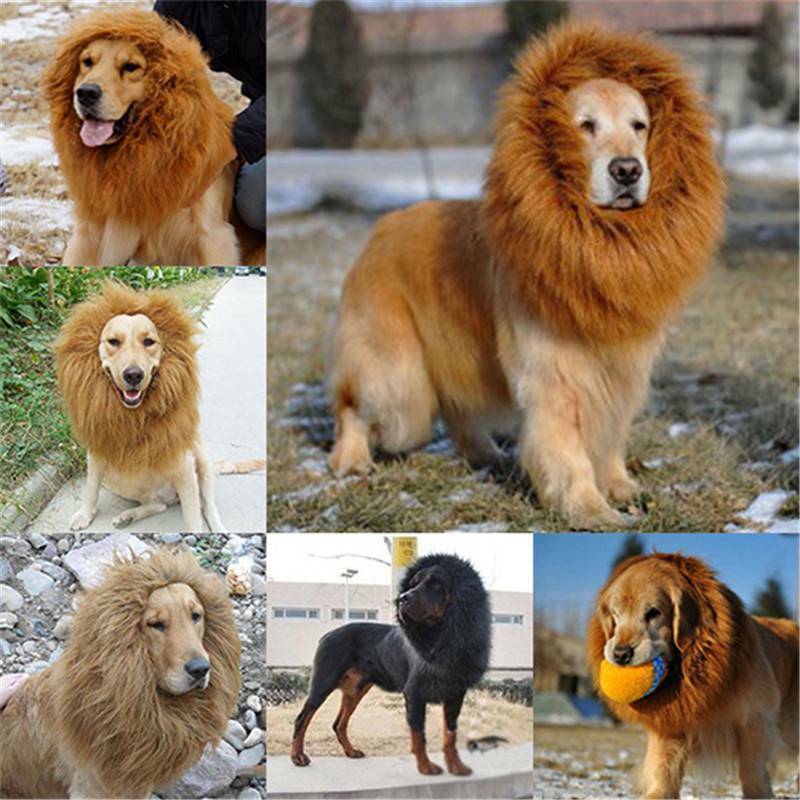 Dress Fancy Festival Clothes Cat Dog for Wig Mane Lion Costume Pet up  headgear