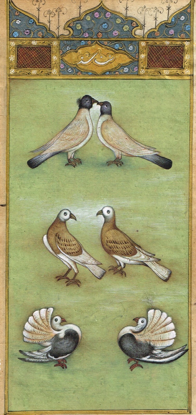 Picture 3 of 5
