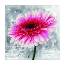 Pink Dahlia no count cross stitch kit 11ct Needle Art World