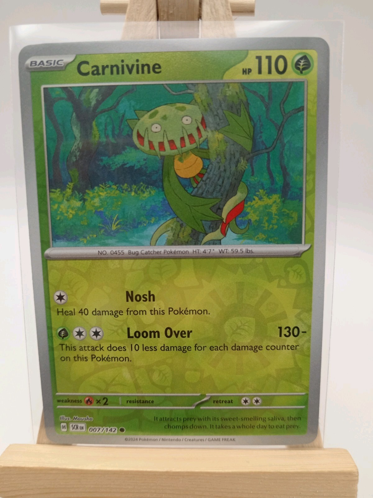 Carnivine 007/142 Reverse Holo NM Sv07: Stellar Crown Pokémon TCG Pokémon Card