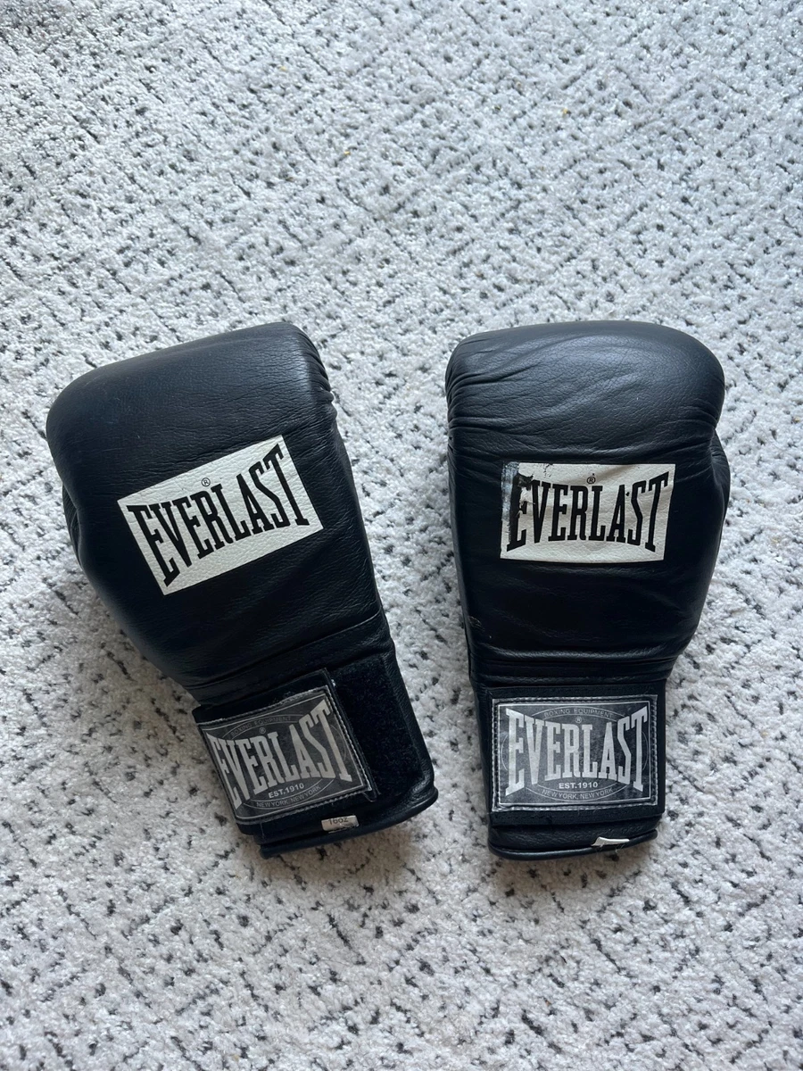 Everlast 16 oz. Weight Adult Unisex Boxing Gloves for sale | eBay