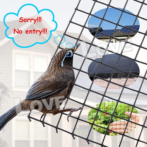 30m Solar Panel Bird Proofing Kit Coated Galvanising Wire Mesh & 100fasteners - Picture 7 of 8