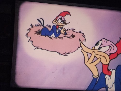 16mm WOODY WOODPECKER SHOW-IB Technicolor 2 Cartoons, Woody's Newsreel & bumpers - Picture 13 of 21
