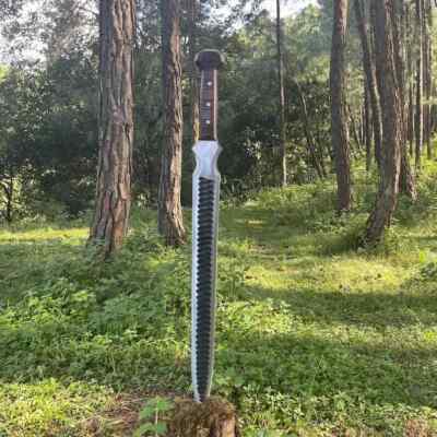 Custom Handmade Carbon Steel Blade Roman Gladius Sword | Viking Sword Camping