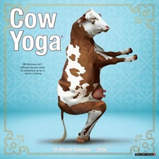 Cow Yoga 2026 12" x 12" Wall Calendar(free shipping)