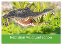 "Calendar 2027 · US Version · Reptiles Wild And Beautiful (Wall Calendar 2027 12\""