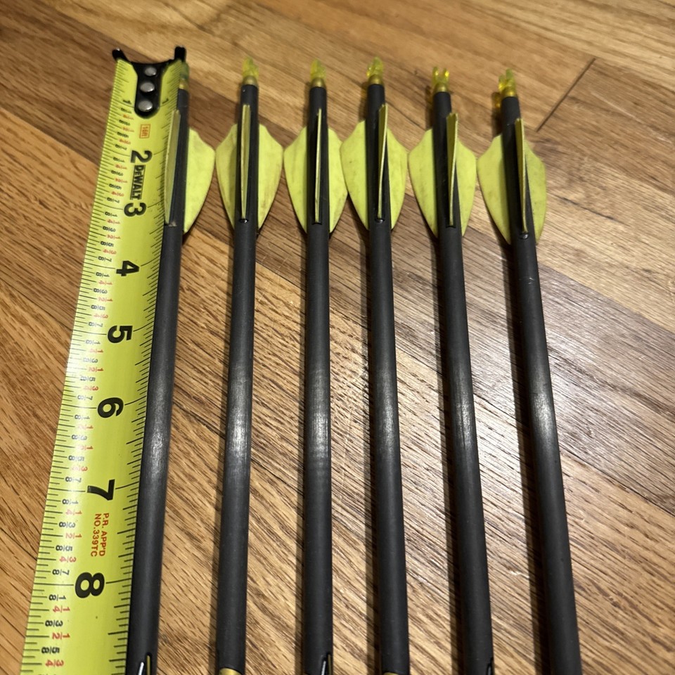 Flèches Easton Pro Comp 250 - Neuves - Taillées Non Coupées Avec Empennes & Pointes