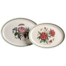 Portmeirion Botanic Garden Rhododendron S/2 Oval Steak Platter